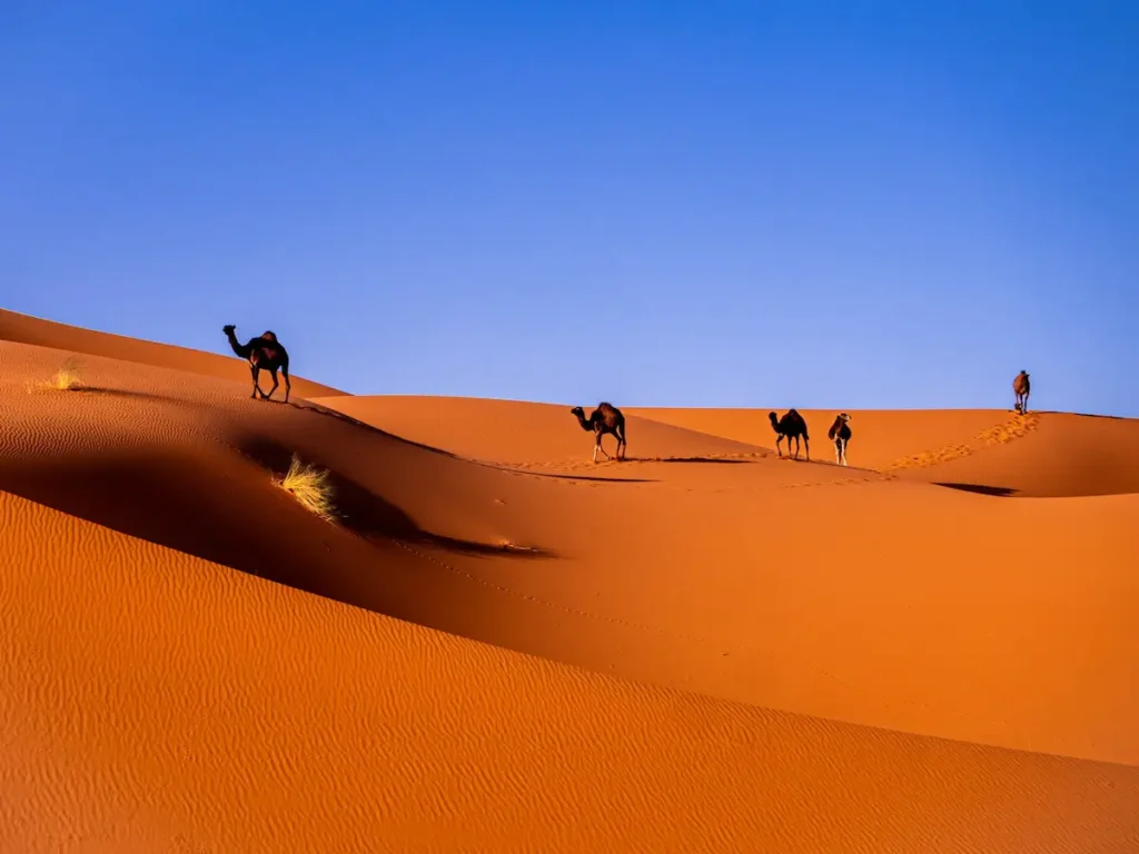 morocco