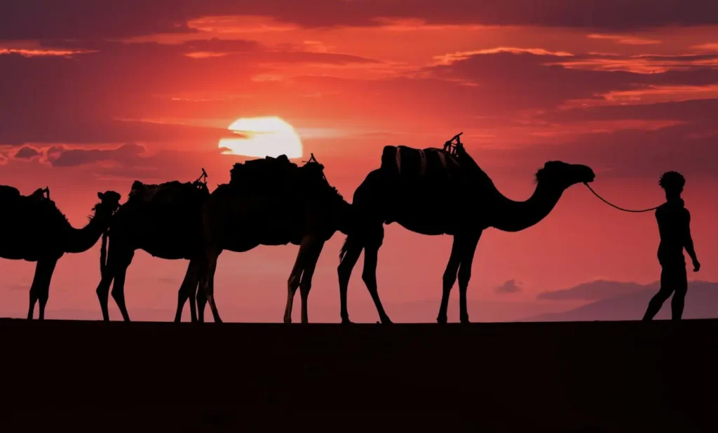 10 Days Tour From Marrakech Morocco desert cities coast journey