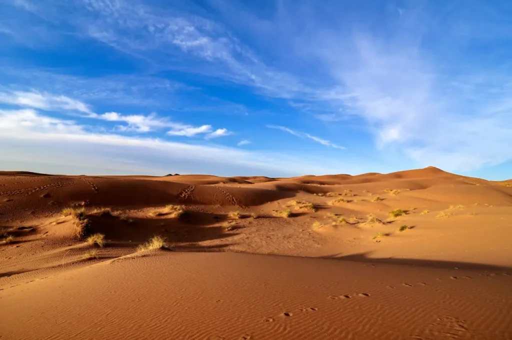 7 Days Tour From Ouarzazate Morocco desert dunes Zagora Merzouga Marrakech